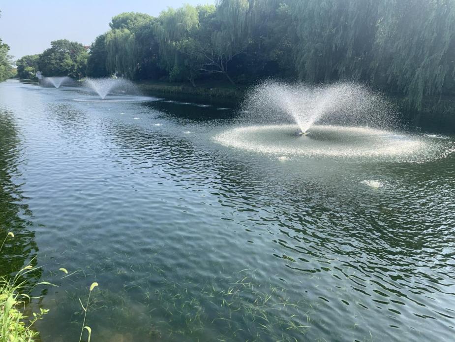 嘉兴市嘉善县大云镇 “碧水绕云” 水生态综合治理项目 嘉兴市嘉善县大云镇 “碧水绕云” 水生态综合治理项目